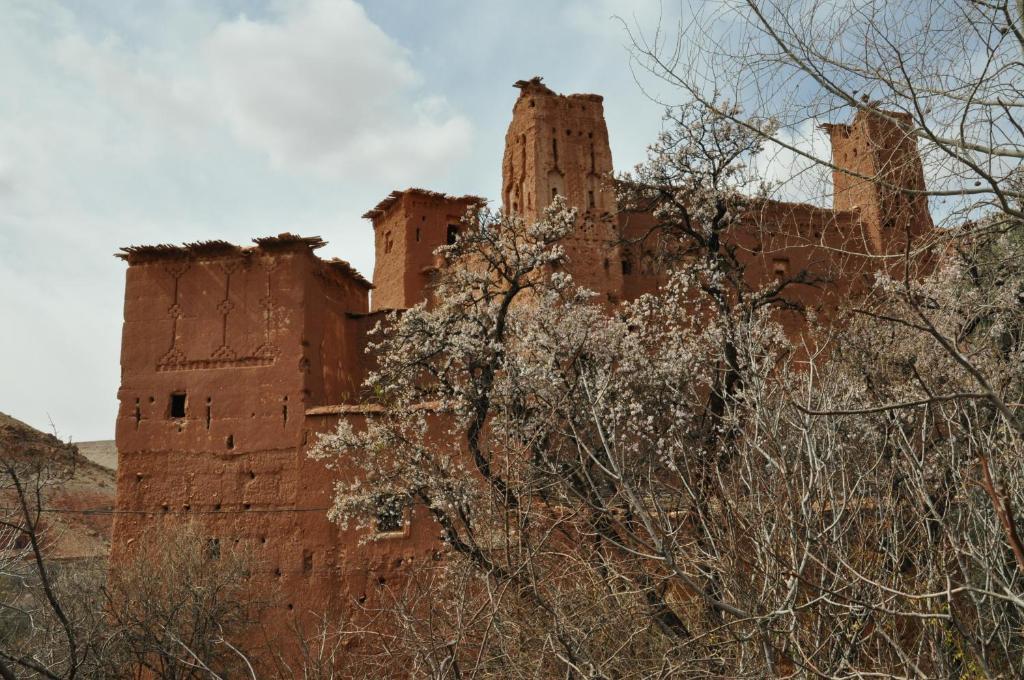 Kasbah Tigmi N'Oufella Bed & Breakfast Telouet Bagian luar foto